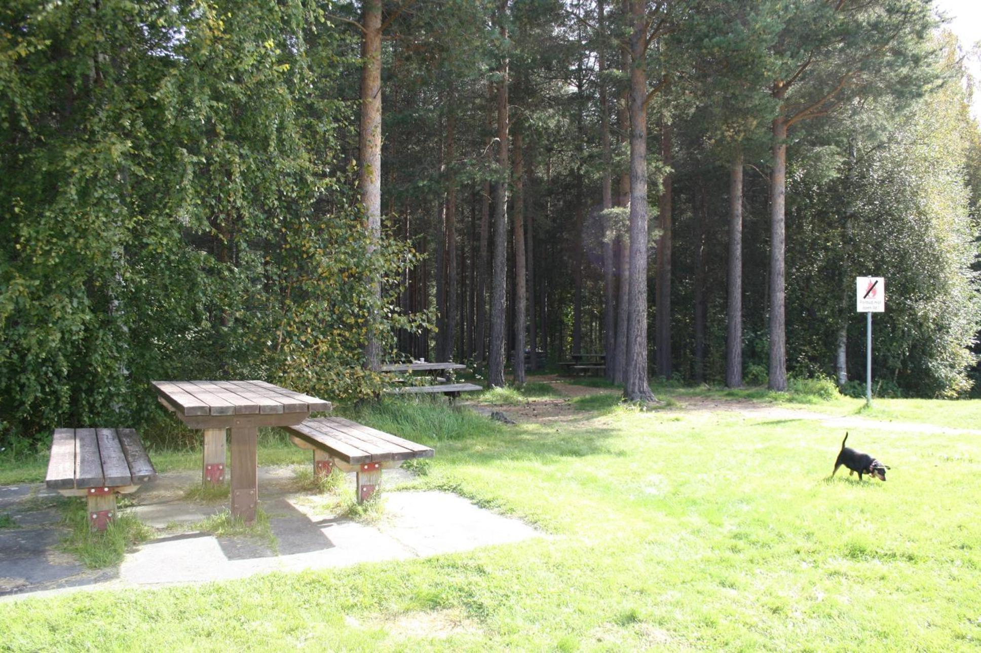 Dovreskogen Gjestegard As Exterior photo